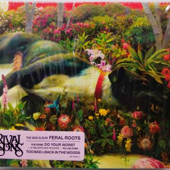 RIVAL SONS - FERAL ROOTS (cardboard sleeve) - Меломания