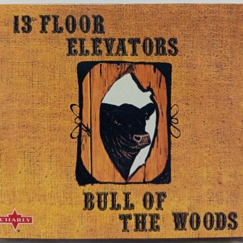13TH FLOOR ELEVATORS - BULL THE WOODS (digipak) - Меломания