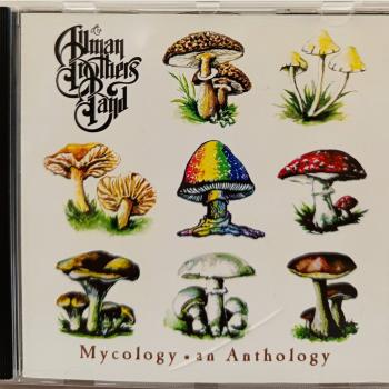 ALLMAN BROTHERS BAND - MYCOLOGY. AN ANTHOLOGY - Меломания