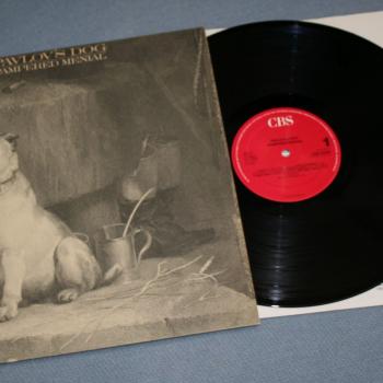 PAVLOV'S DOG - PAMPERED MENIAL - Меломания