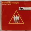 BERMUDA TRIANGLE - MOOGER FOOGER - Меломания