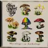 ALLMAN BROTHERS BAND - MYCOLOGY. AN ANTHOLOGY - Меломания