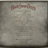 BLACK STONE CHERRY - THE HUMAN CONDITION (limited edition) - Меломания
