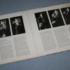 BARBRA STREISAND - LIVE CONCERT AT THE FORUM - Меломания