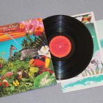 THIRD WORLD - ALL THE WAY STRONG - Меломания