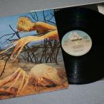 DIXIE DREGS - DREGS OF THE EARTH (Steve Morse) - Меломания