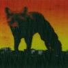 PRODIGY - THE DAY IS MY ENEMY (limited edition box) - 