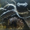 CAPHARNAUM - FRACTURED - ���������