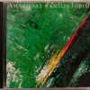 FAMILIA JOBIM, NOVA BANDA - AMAZONAS - FAMILIA JOBIM - 