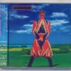 DAVID BOWIE - EARTHLING - ���������