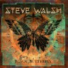 STEVE WALSH - BLACK BUTTERFLY - 