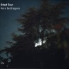 ODED TZUR - HERE BE DRAGONS - 