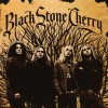 BLACK STONE CHERRY - BLACK STONE CHERRY - 
