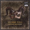 JETHRO TULL - CURIOUS RUMINANT - 