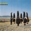 ALAN PARSONS - TRY ANYTHING ONCE - ���������