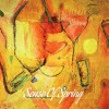 FRODE WASSVIK - SENSE OF SPRING - 