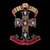 GUNS N' ROSES - APPETITE FOR DESTRUCTION - Меломания