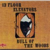 13TH FLOOR ELEVATORS - BULL THE WOODS (digipak) - ���������