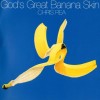 CHRIS REA - GOD'S GREAT BANANA SKIN - 