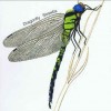 STRAWBS - DRAGONFLY - 