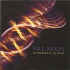 PAUL SIMON - SO BEAUTIFUL OR SO WHAT - 