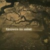 GROVES IN MIST - REMEMBRANCE IN THE SUFFERING - 