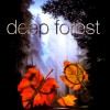 DEEP FOREST - BOHEME - 