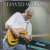 DAVID WILCOX - BOY IN THE BOAT - 