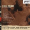 BOB BELDEN - BLACK DAHLIA - 