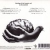 BRAINCHILD - HEALING OF THE LUNATIC OWL (digipack) (a) - 