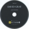 DAVID GRAY - LIVE IN SLOW MOTION - 