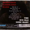 BERGGREN KERSLAKE BAND - THE SUN HAS GONE HAZY - 