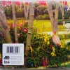 RIVAL SONS - FERAL ROOTS (cardboard sleeve) - ���������