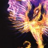 DEEP PURPLE - PHOENIX RISING (CD+DVD) - 