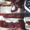 DON FELDER - AMERICAN ROCK 'N' ROLL (cardboard sleeve) - ���������
