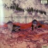 SONIC YOUTH - MURRAY STREET - ���������
