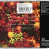 KATE BUSH - THE RED SHOES - ���������
