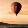 LIFESIGNS - ALTITUDE - 