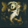 MADRIGAL - I DIE, YOU SOAR - 