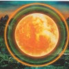 EMPIRE OF THE SUN - TWO VINES - ���������