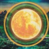 EMPIRE OF THE SUN - TWO VINES - ���������