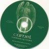 CAMEL - HARBOUR OF TEARS - ���������