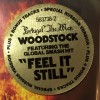 PORTUGAL. THE MAN - WOODSTOCK (special Russian version) (digipak) - 