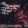 TACTICAL SEKT - SYNCOPE - 