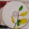 MAGGIE REILLY - LOOKING BACK, MOVING FORWARD - 