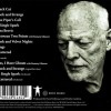 DAVID GILMOUR - LUCK AND STRANGE - 