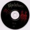 BLACKTHORNE - AFTERLIFE - 
