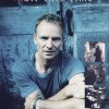 STING - ...ALL THIS TIME - Меломания