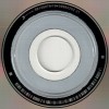 PATTERN-SEEKING ANIMALS - ONLY PASSING THROUGH - ���������