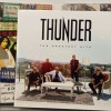 THUNDER - THE GREATEST HITS (digipak) - ���������
